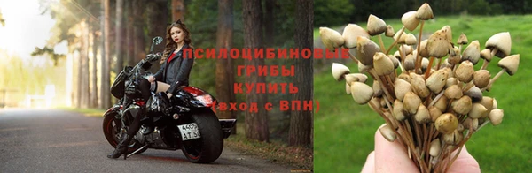 скорость Мегион