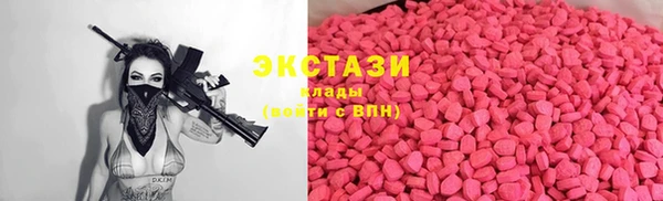 гидра Медвежьегорск