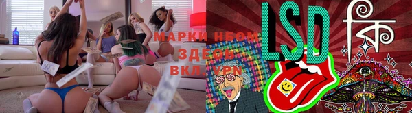 a pvp Дубна