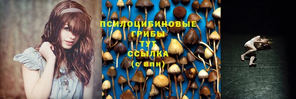 скорость Мегион