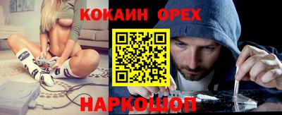 шишки Донской