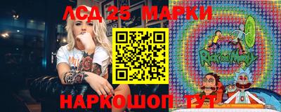 шишки Донской