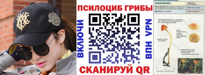 Псилоцибиновые грибы мицелий  Мелеуз 