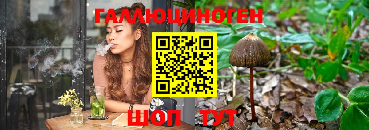 Псилоцибиновые грибы Magic Shrooms Мелеуз