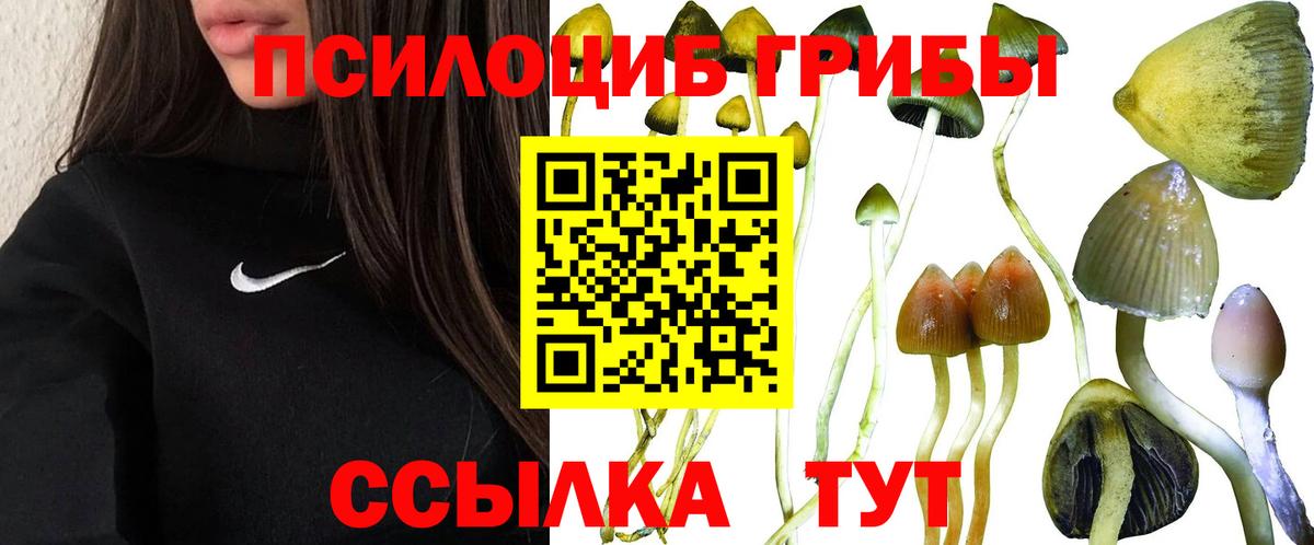 Мелеуз  Галлюциногенные грибы Psilocybine cubensis  Вход с VPN 